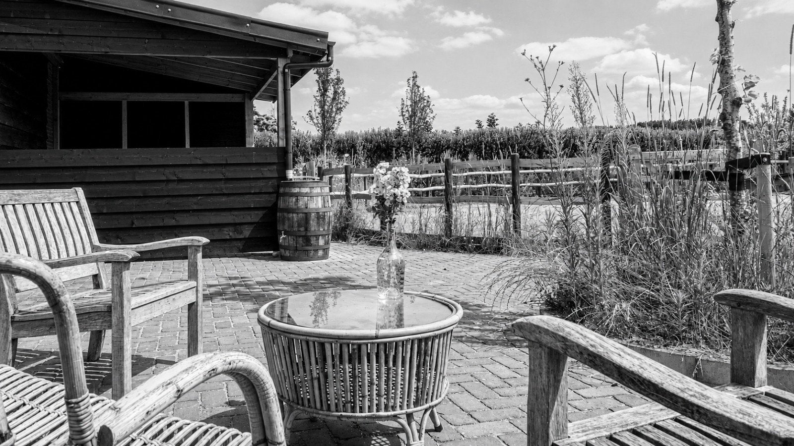 Paardencoach/recreatieve ruiter zoekt paard, Merrie, L, Recreatiepaard