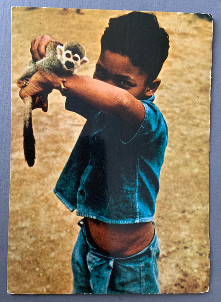 Hindoestaanse Jongen met Aapje in Suriname, Verzenden, 1940 tot 1960, Ongelopen, Buiten Europa