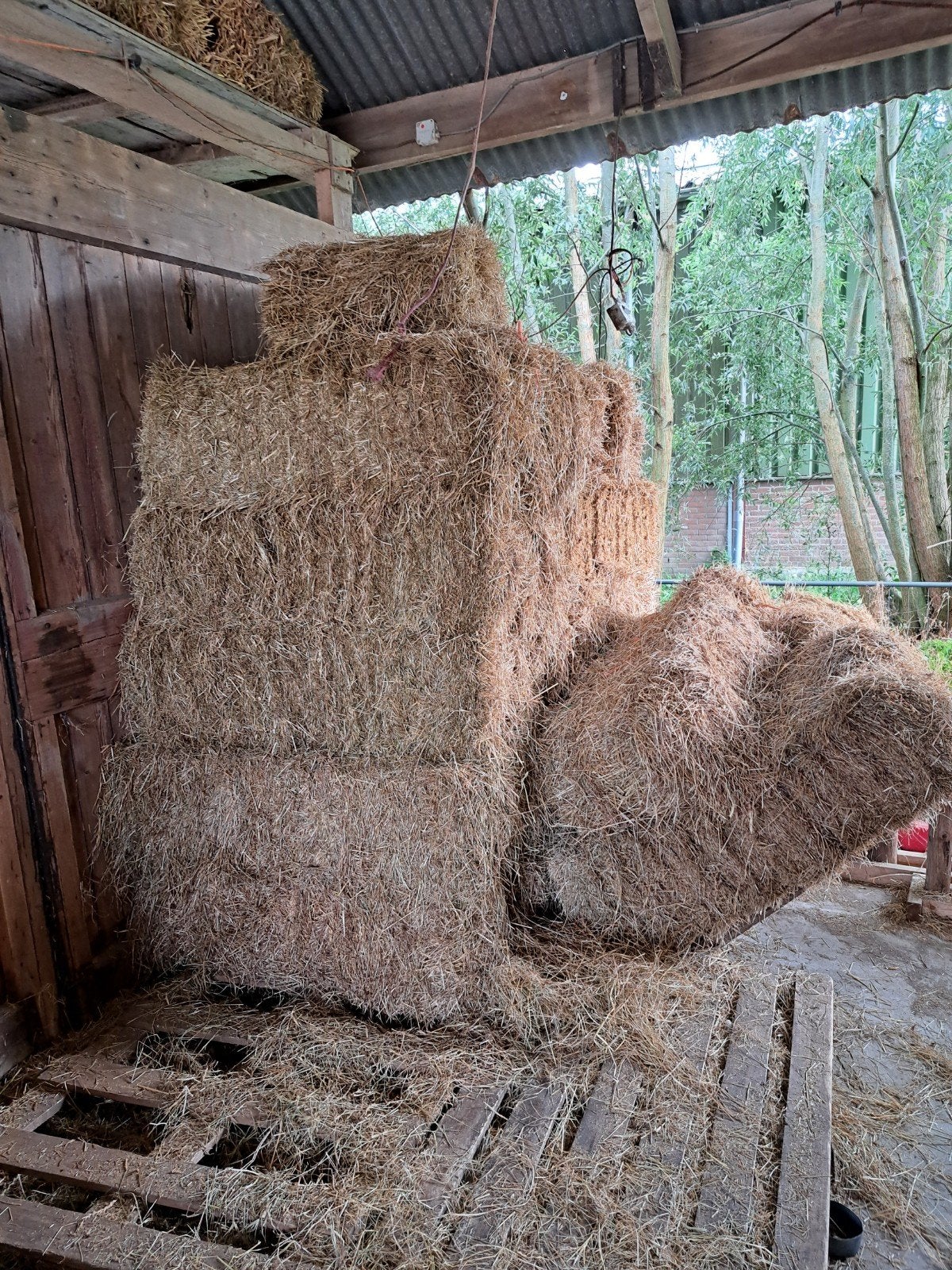 hooibalen te koop, Ophalen, Vee