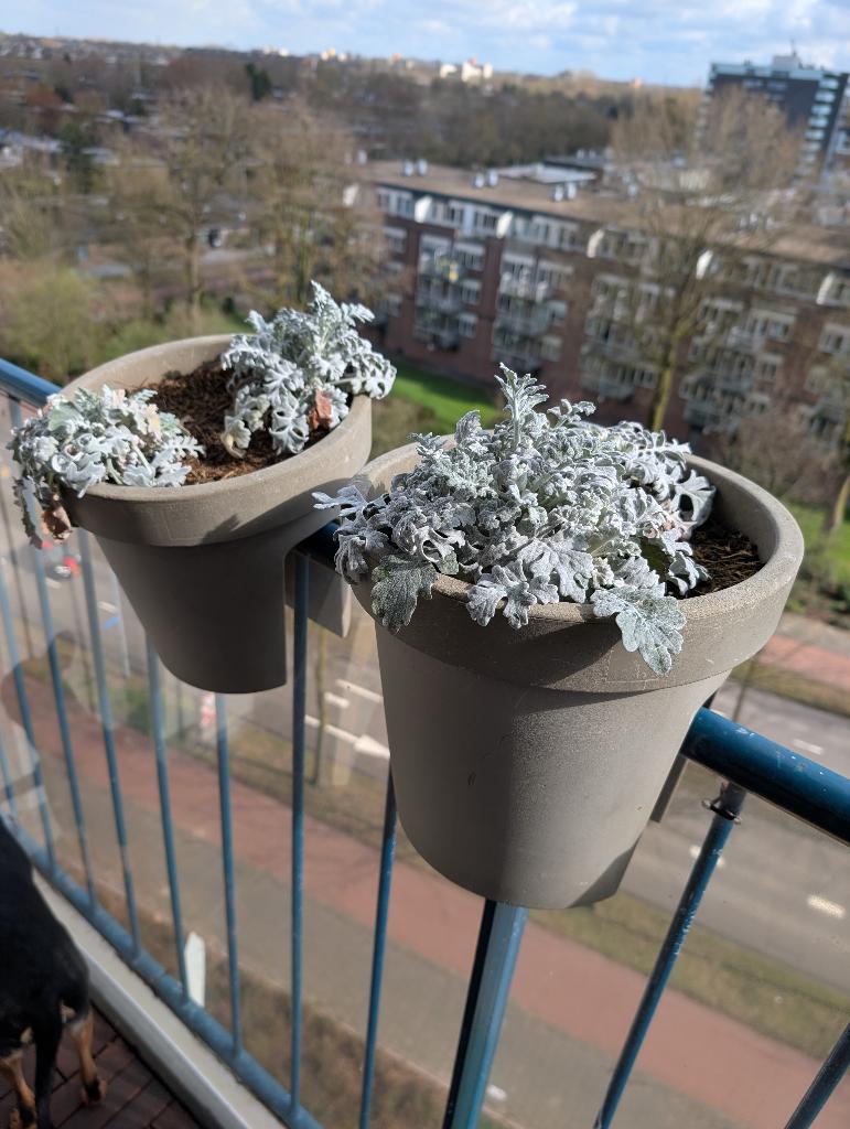 2 hangende balkon plantenbakken, Ophalen, Kunststof, Gebruikt, Minder dan 30 cm