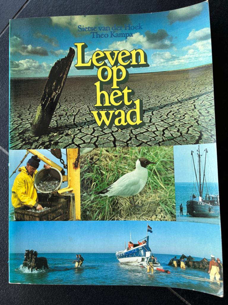 Leven op het wad - Sietse van der Hoek & Theo Kampa, Boeken, Ophalen of Verzenden, Gelezen, Natuur algemeen