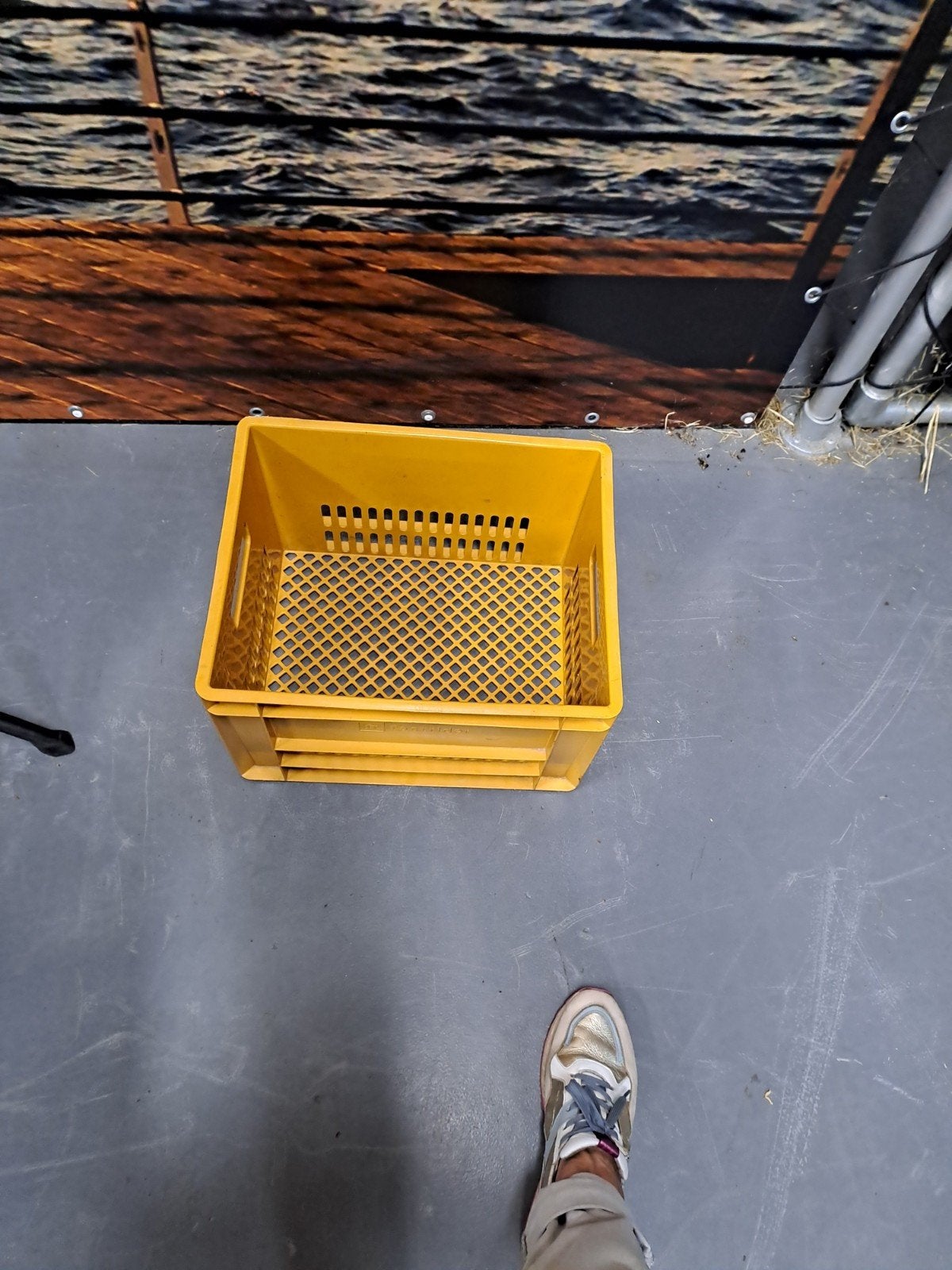 Kunststof krat voor fiets of opslag, Ophalen of Verzenden