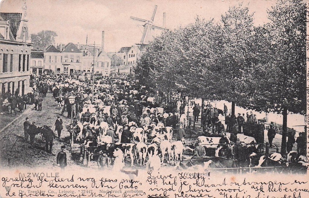 Zwolle - de veemarkt (gel. 1902) en molen, Ophalen of Verzenden, Voor 1920, Gelopen, Overijssel