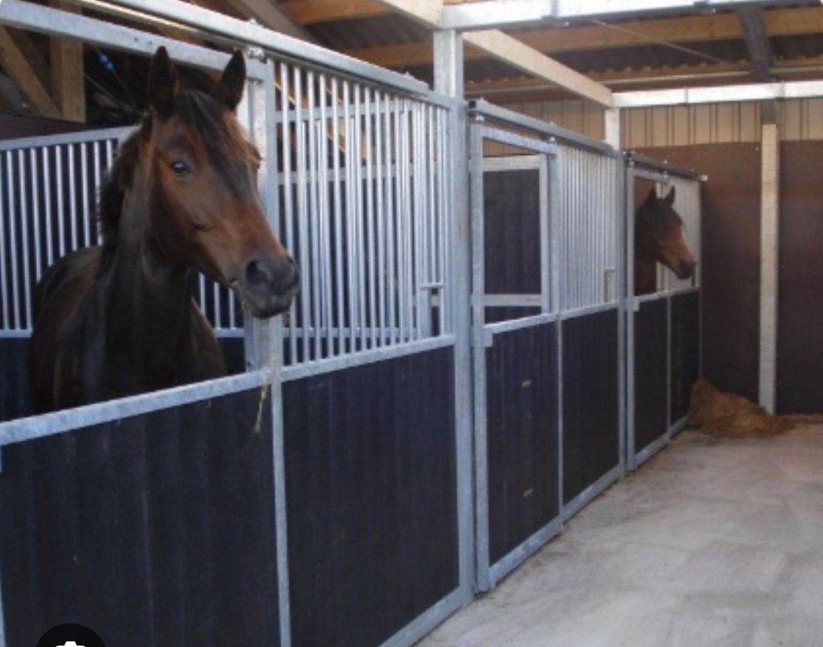 Gezocht paardenstalling omgeving elsloo /zorgvlied, Dieren en Toebehoren, Stalling