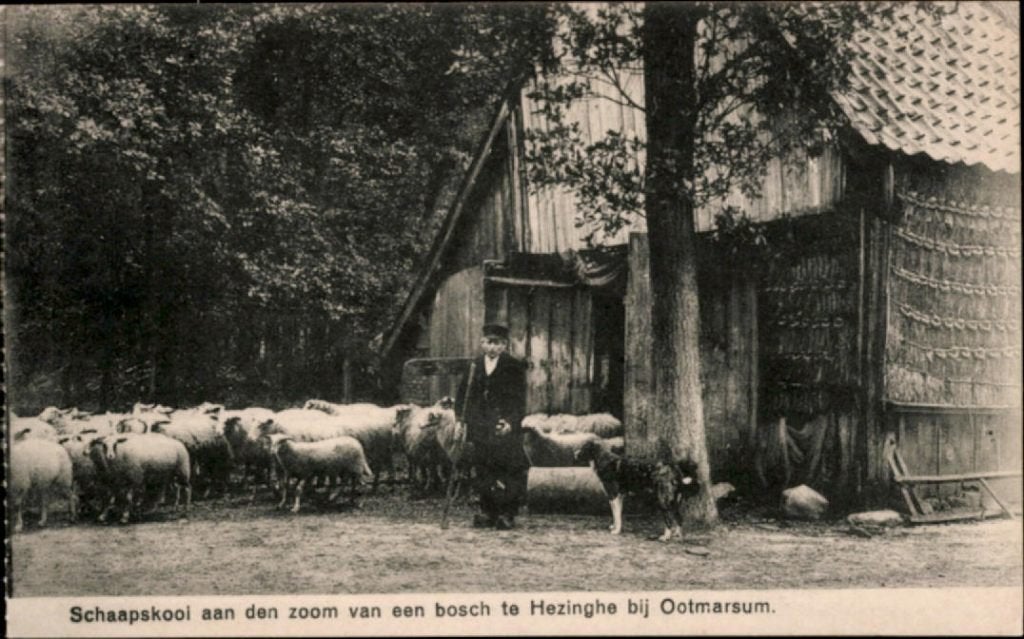 ootmarsum, kvr5-708 schaapskooi, Verzamelen, Verzenden, 1940 tot 1960, Ongelopen, Overijssel