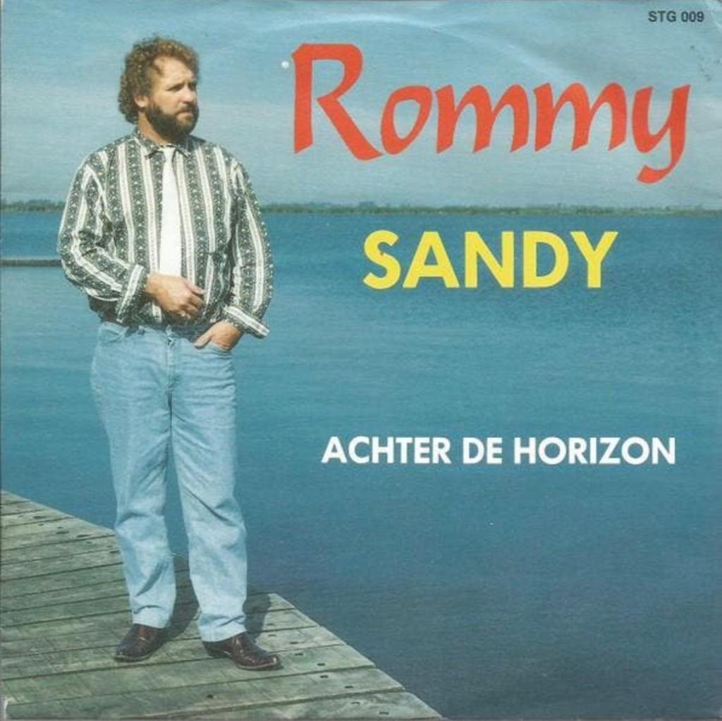 GEZOCHT VINYL ROMMY, Ophalen of Verzenden, Zo goed als nieuw, Nederlandstalig