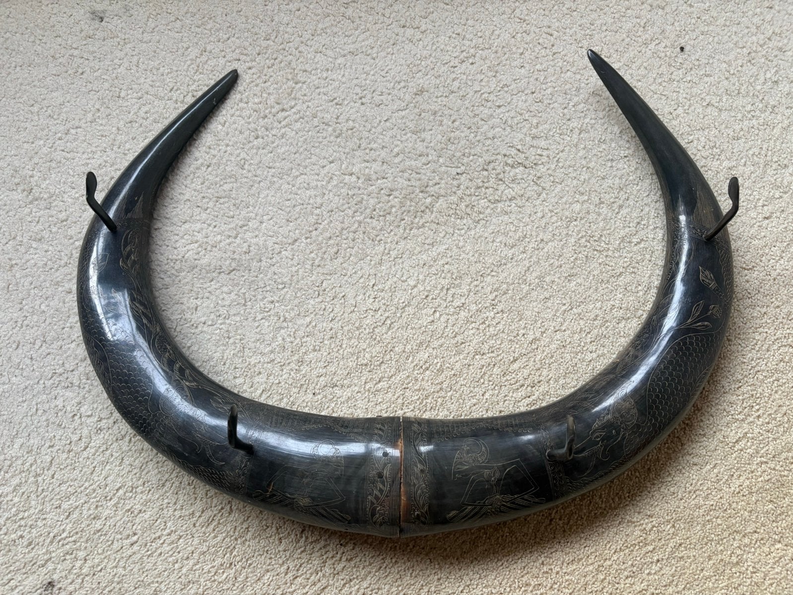 Buffel hoorn kapstok, Wandkapstok, Gebruikt, Ophalen of Verzenden, Minder dan 100 cm