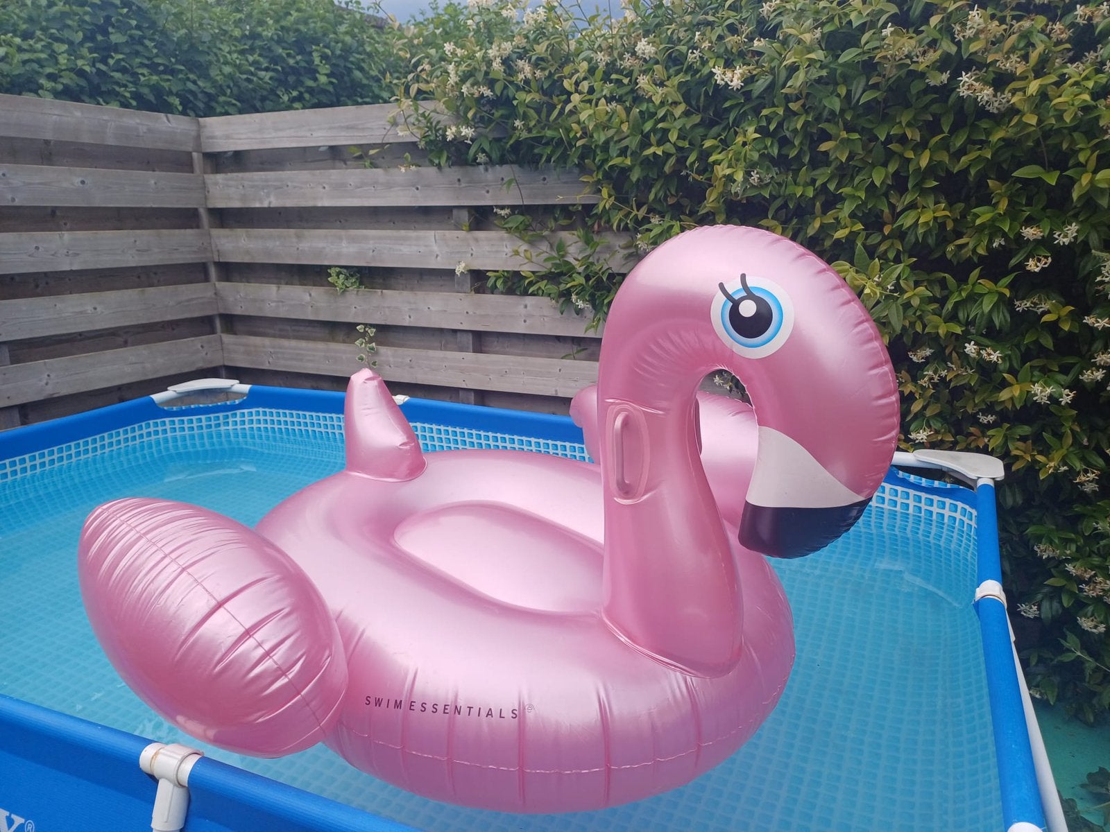 Super grote opblaas Flamingo. Swim essentials, Ophalen of Verzenden, Nieuw