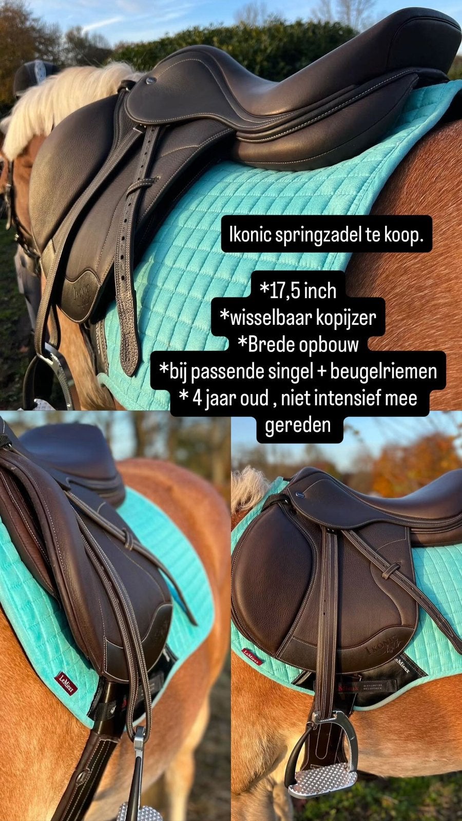Ikonic springzadel, Dieren en Toebehoren, L (17.5 inch), Vlakke zit, Wijd, Ikonic