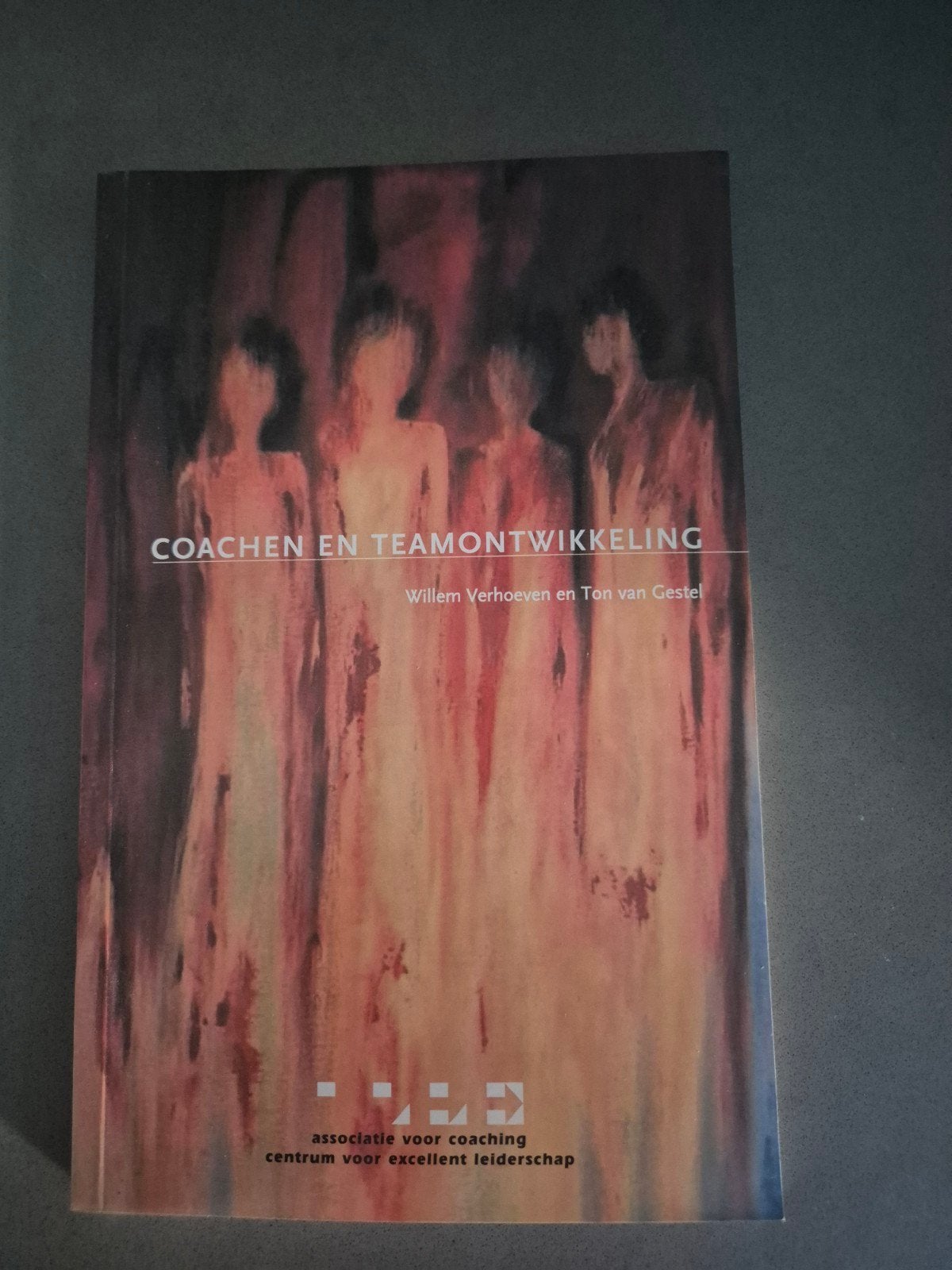 Coachen en Teamontwikkeling - Willem Verhoeven, Boeken, Zo goed als nieuw, Gamma, Willem Verhoeven, Ton van Gestel, HBO