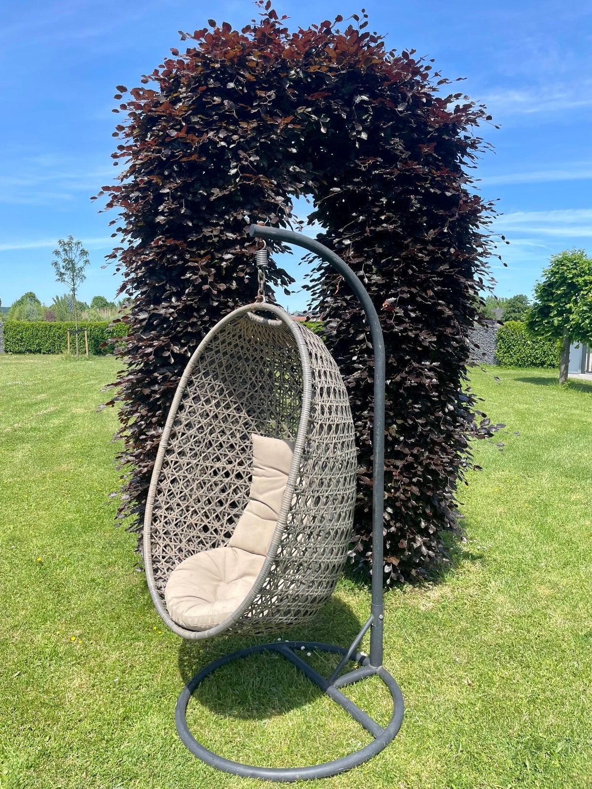Sediamo Hangstoel wicker, Ophalen, Gebruikt, Wicker