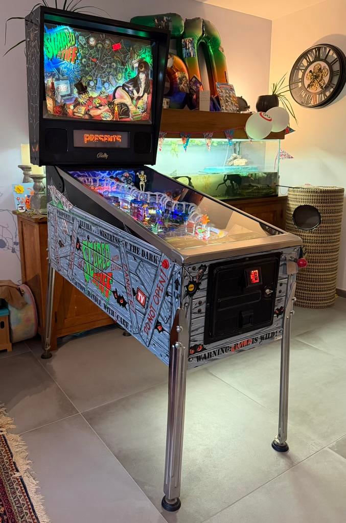 Scared Stiff (Bally) – prachtige staat, Verzamelen, Automaten | Flipperkasten, Ophalen, Williams, Zo goed als nieuw, Dot-matrix