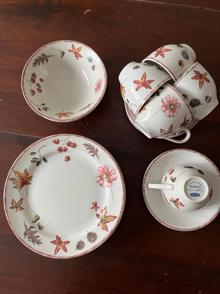 JBS Seasons herfst servies - janneke brinkman, Gebruikt, Keramiek, Overige typen, Ophalen of Verzenden