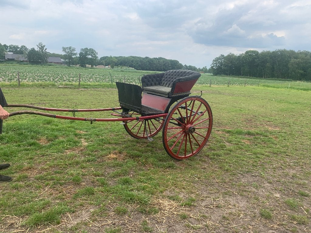 GIG/ Dameswagen/ tweewieler voor tuigpaard, Gebruikt, Overige typen, Paard