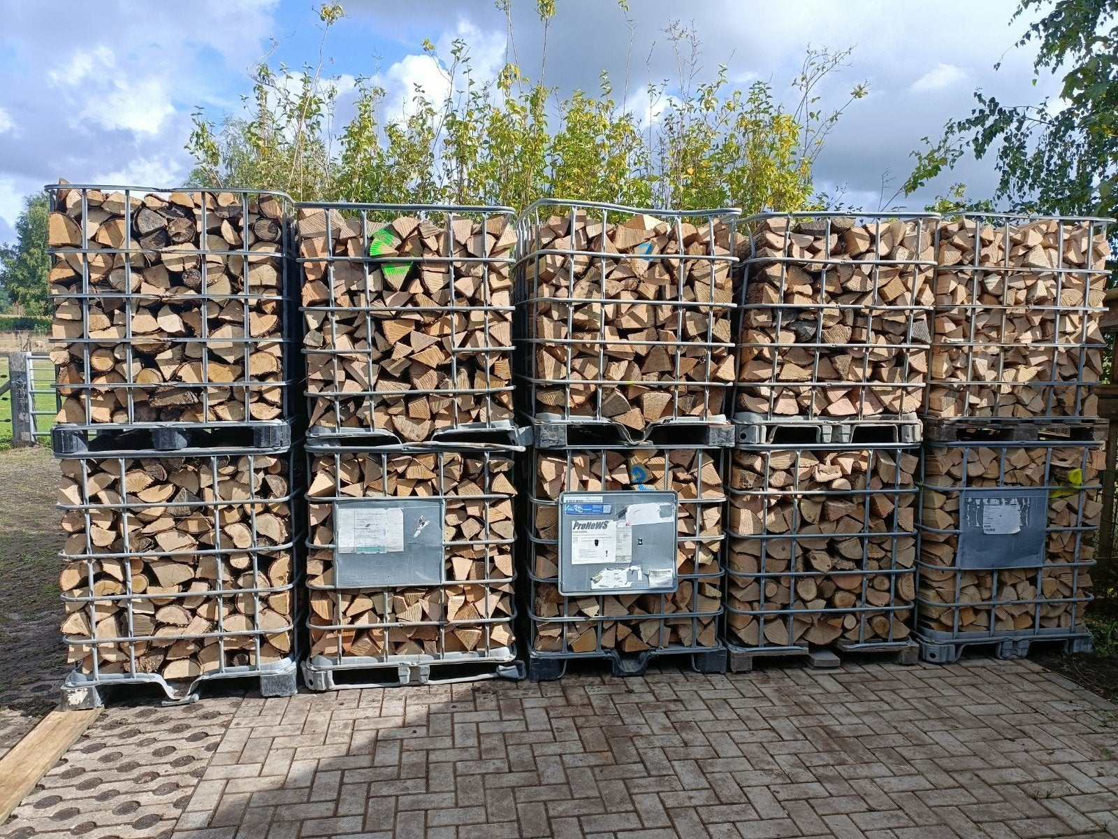 gestapeld en gedroogd haardhout, 6 m³ of meer, Ophalen, Eikenhout, Blokken