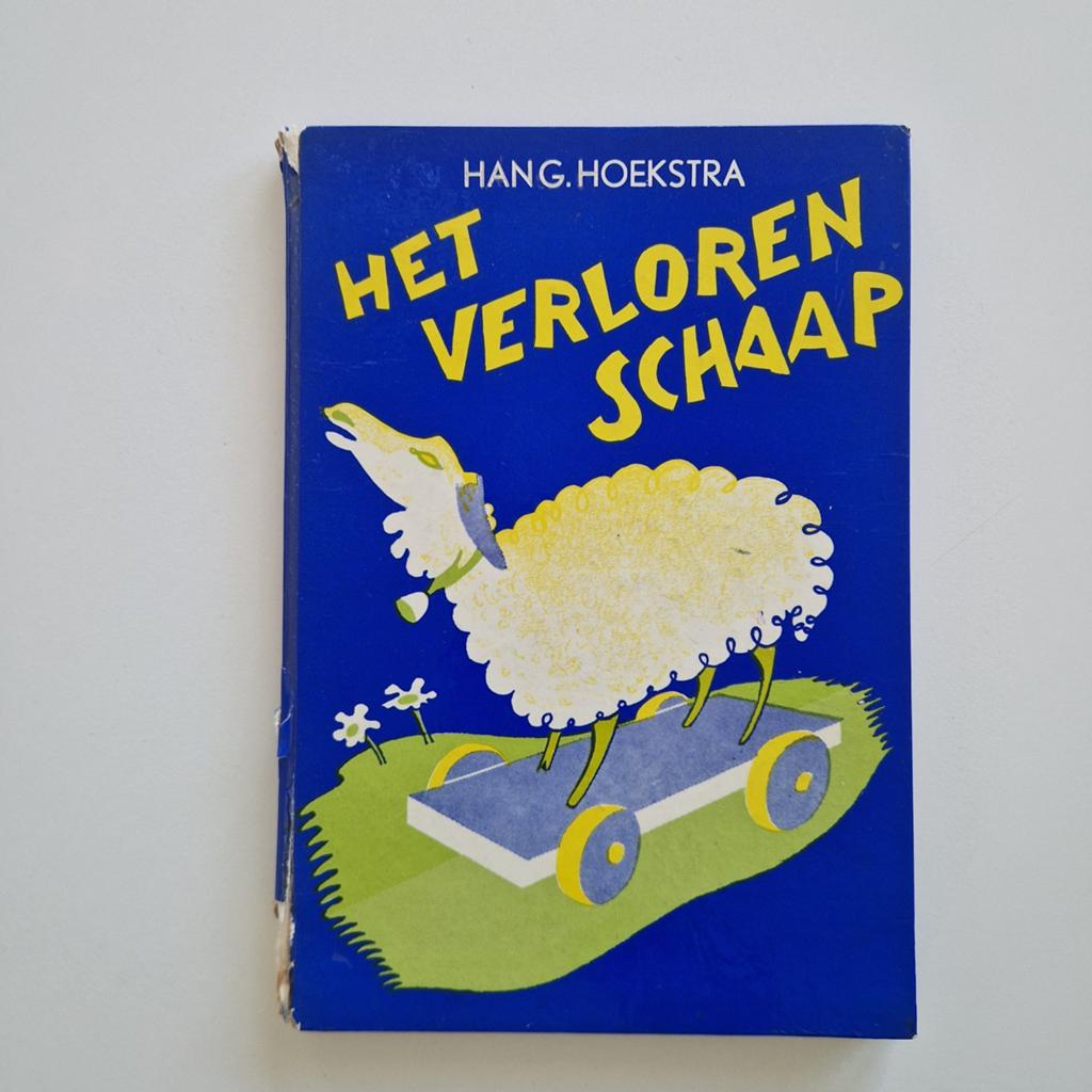 Boek; Het verloren schaap, Ophalen of Verzenden, Gelezen, Fictie algemeen