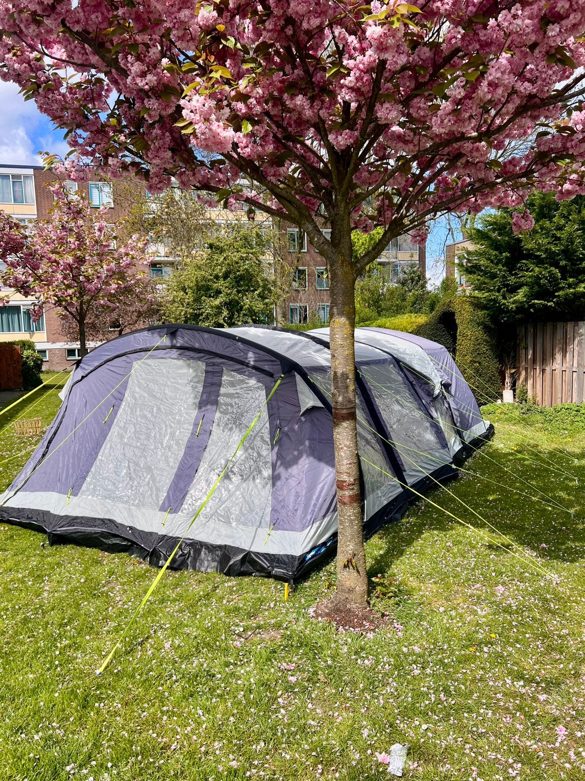 Tent, Campeertent, Kampa, Ophalen, Gebruikt, Tot en met 6