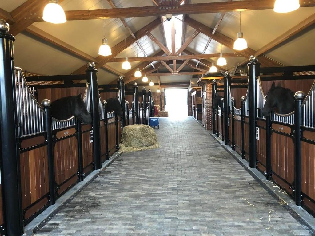 Stalling, Stalling, 2 of 3 paarden of pony's