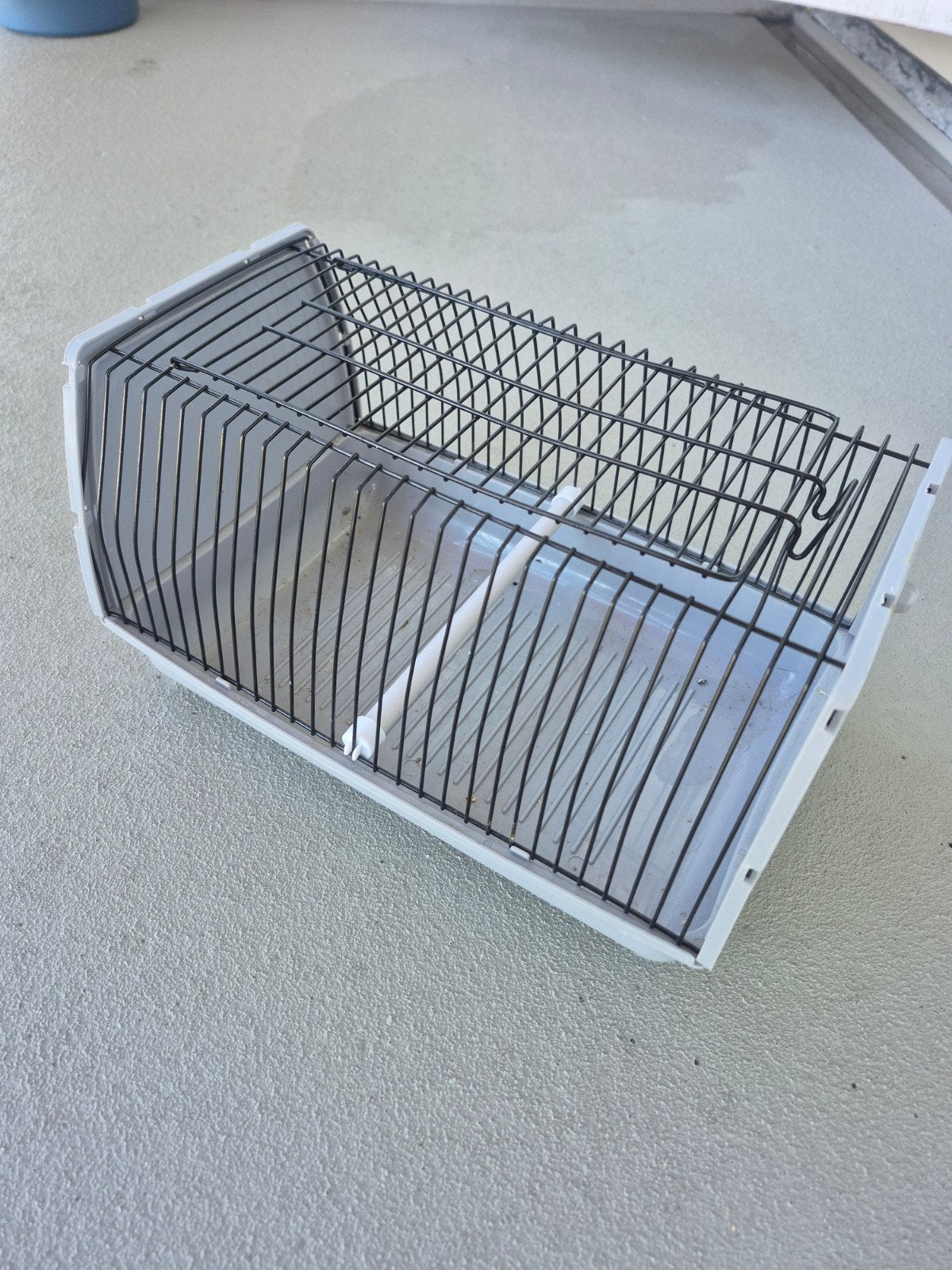 Transportkooi voor vogels, Dieren en Toebehoren, Knaagdieren en Konijnen | Hokken en Kooien, Minder dan 60 cm, Minder dan 75 cm