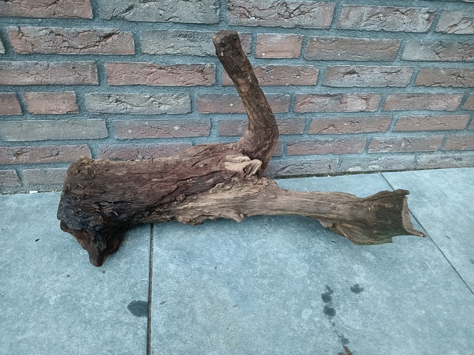 Grote stuk Kienhout, Dieren en Toebehoren, Ophalen of Verzenden, Gebruikt, Plant(en), Steen of Hout