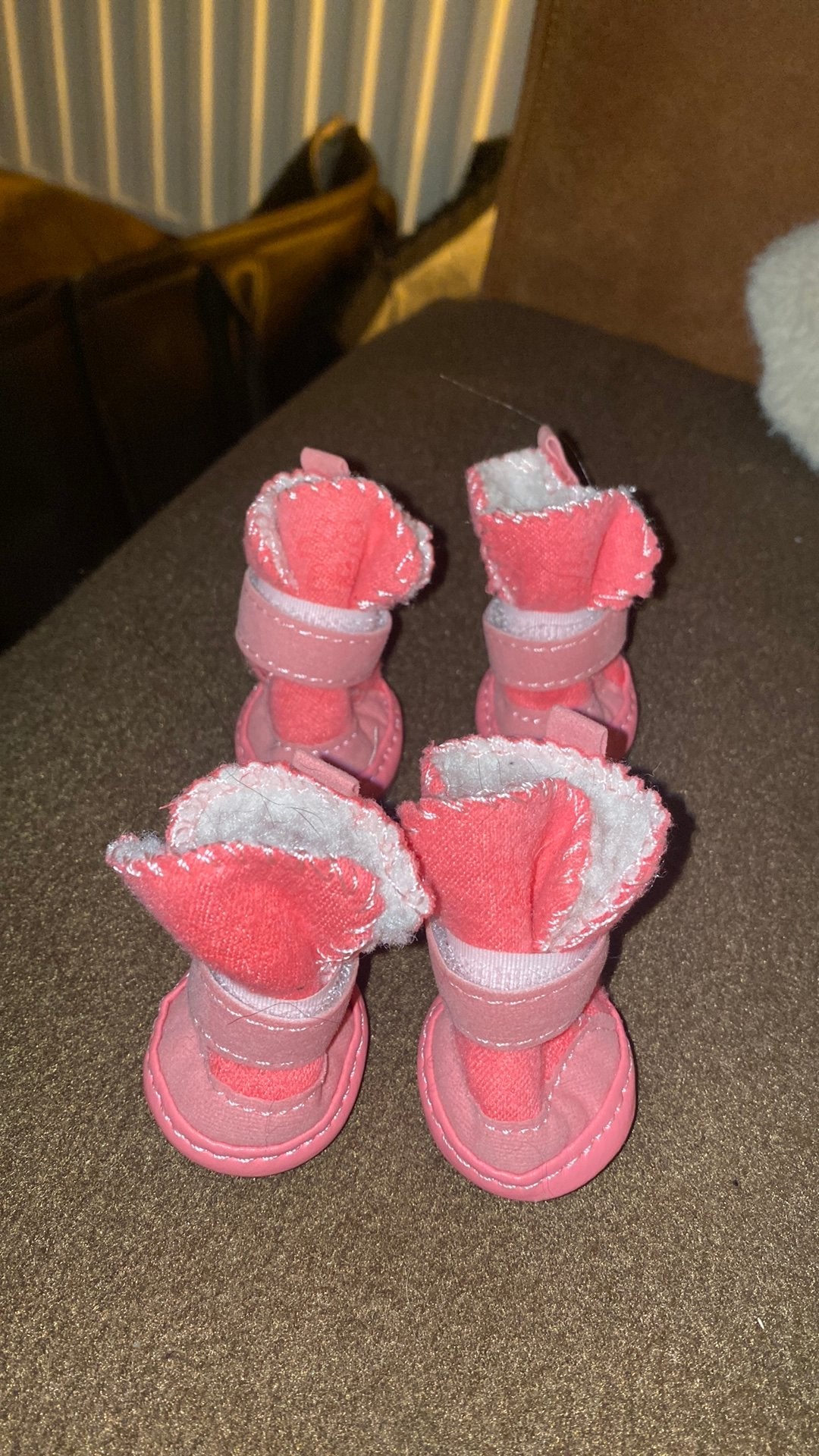 kleine honden schoenen (inimini pootjes ), Dieren en Toebehoren, Overige merken, Ophalen of Verzenden, Gevoerd, Hondenschoenen