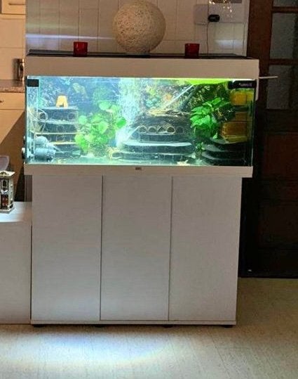 Juwel Aquarium, Dieren en Toebehoren, Ophalen, Gebruikt, Juwel, Inclusief deksel