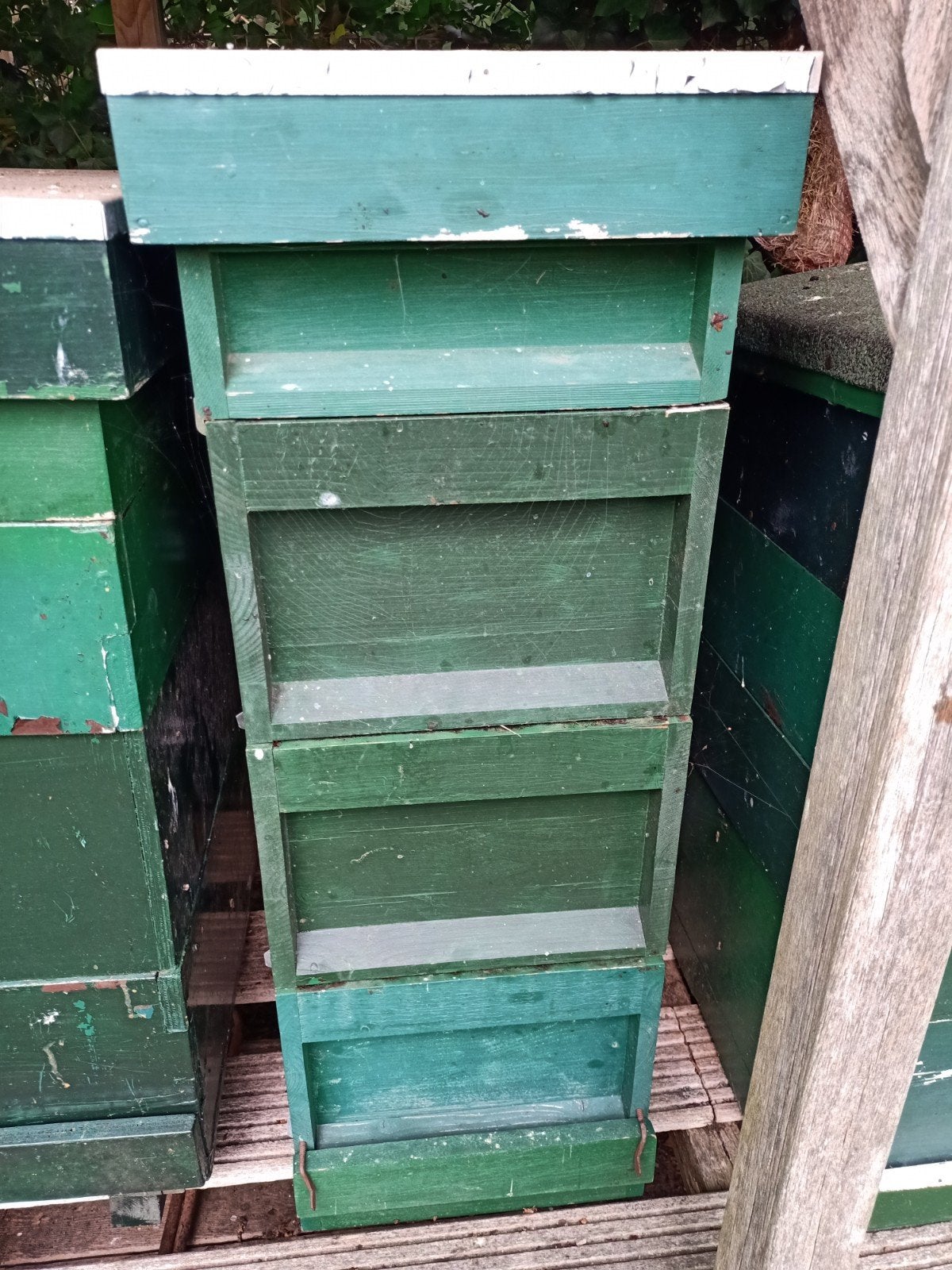 bijenkast, Dieren en Toebehoren, Bijen