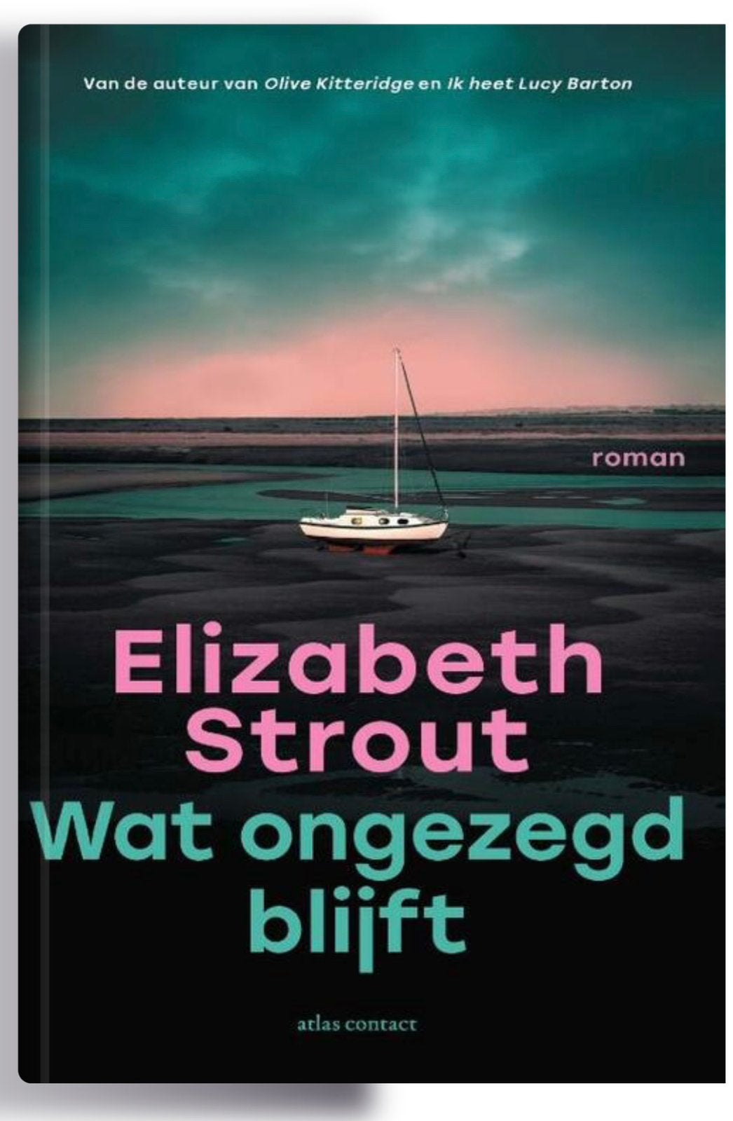“Wat ongezegd blijft” - Boek gezocht, Boeken, Ophalen of Verzenden, Gelezen