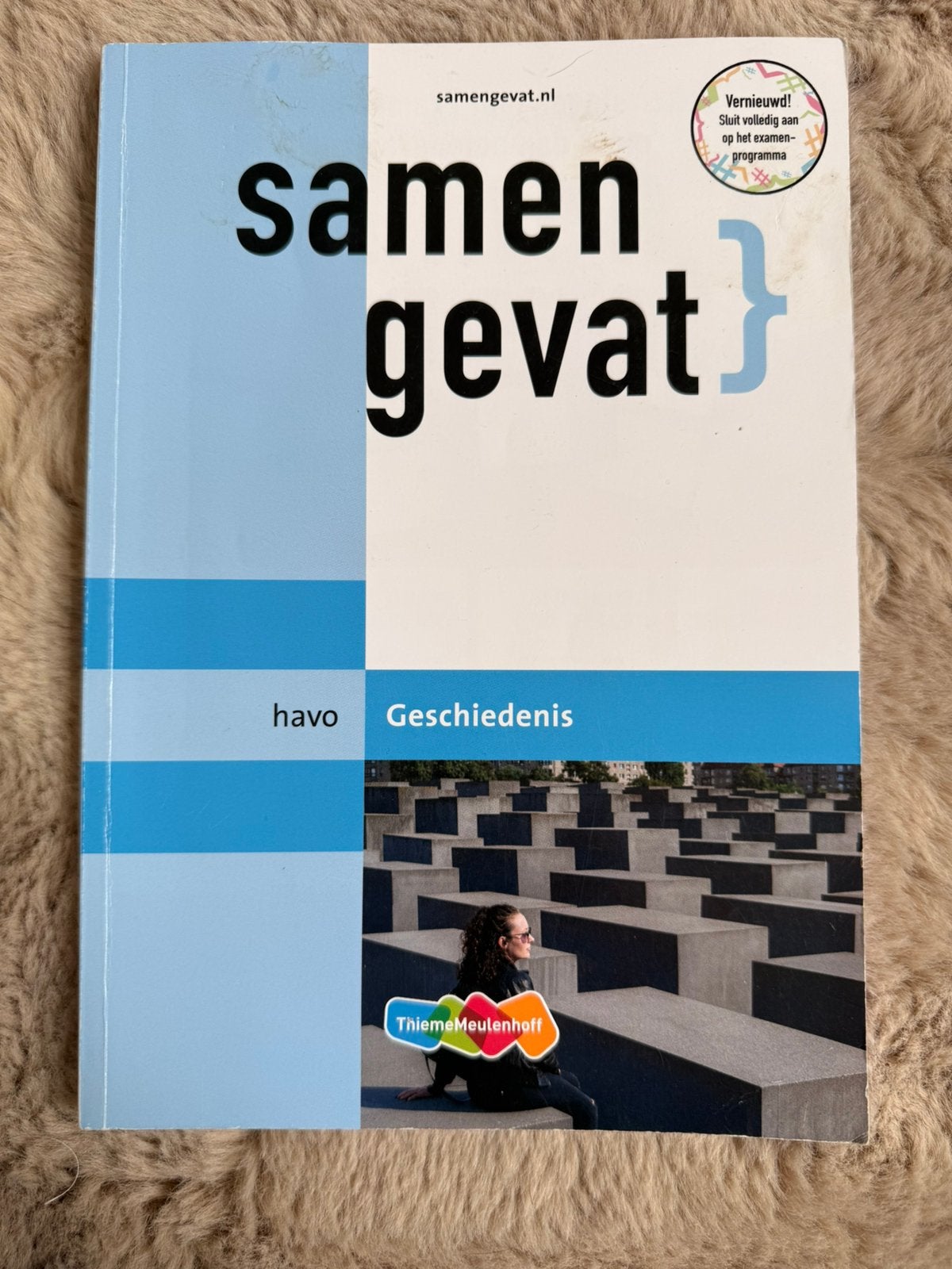 Samengevat Geschiedenis Havo, Boeken, Schoolboeken, Ophalen of Verzenden, Zo goed als nieuw, HAVO, Geschiedenis