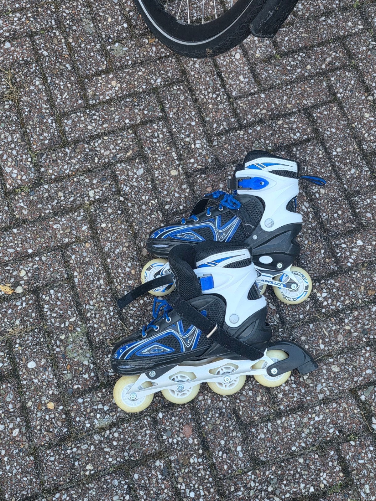 Apollo inline sates / skeelers – Maat 39-42 – Met LED wielen, Ophalen