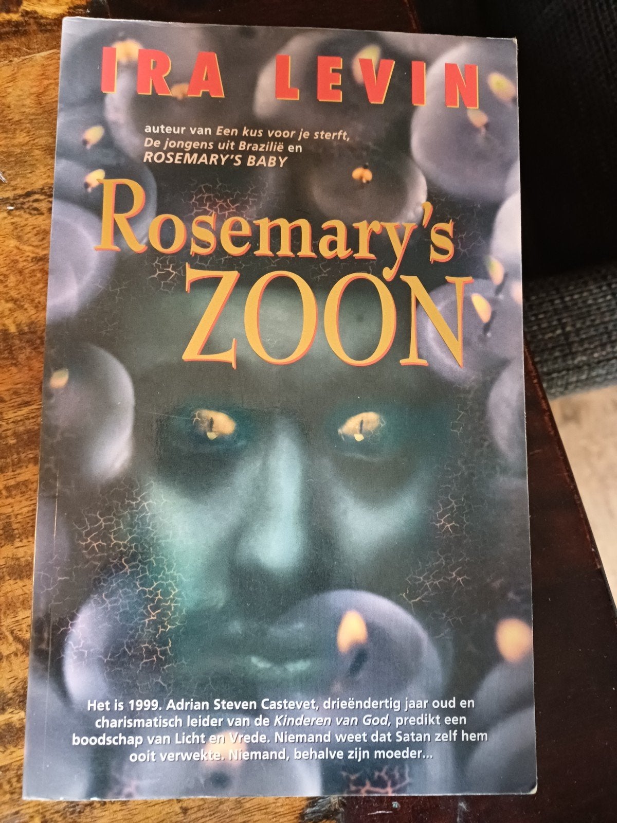 Rosemary's Zoon - Ira Levin (Thriller), Ophalen of Verzenden, Gelezen, Ira Levin, Nederland