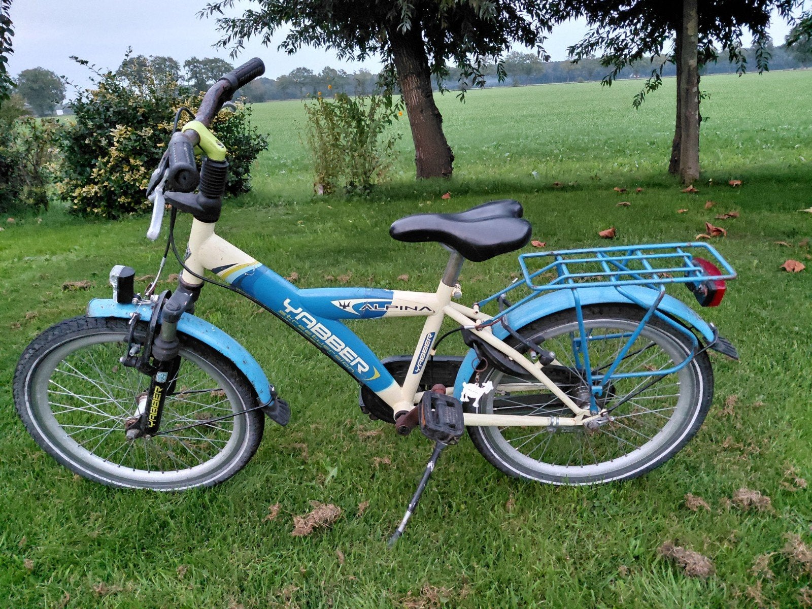 Alpina Yabber Streetversion - 53cm frame, Ophalen, Terugtraprem, 20 inch of meer, Alpine Yabber