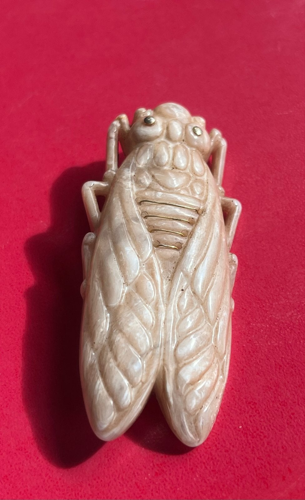 Vintage Cicade Broche /  Frankrijk?Jaren '40-'50 ca 7,5cm, Overige materialen, Gebruikt, Verzenden, Beige