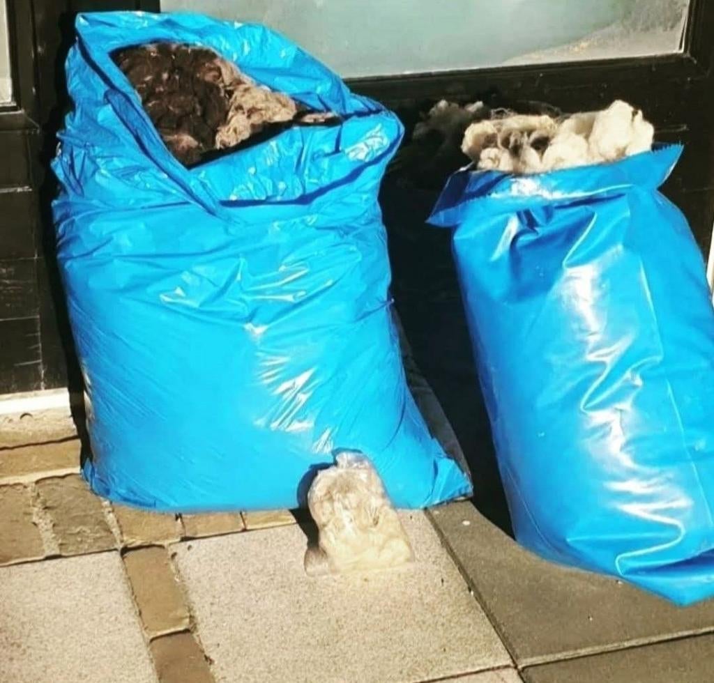 Wol diverse rassen en kleuren vachten, Ophalen of Verzenden