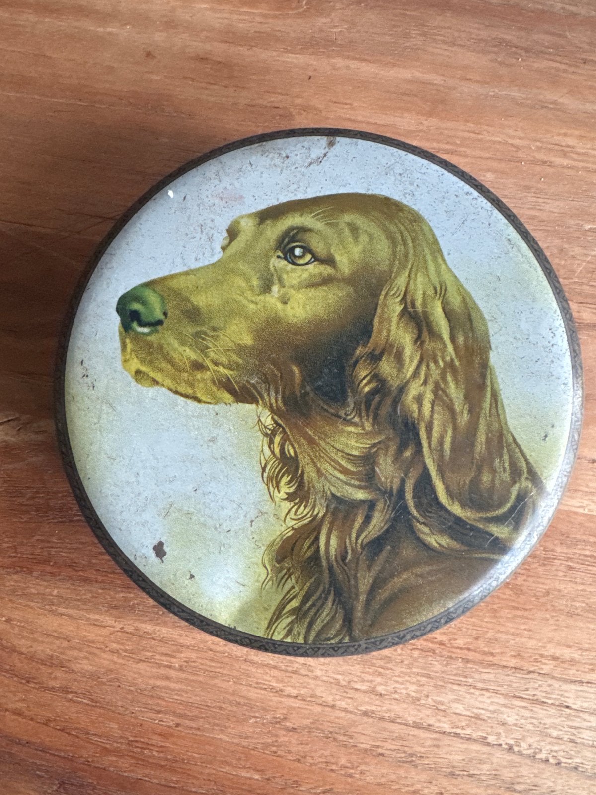 Vintage blikken doos met Ierse Setter hond, Ophalen of Verzenden