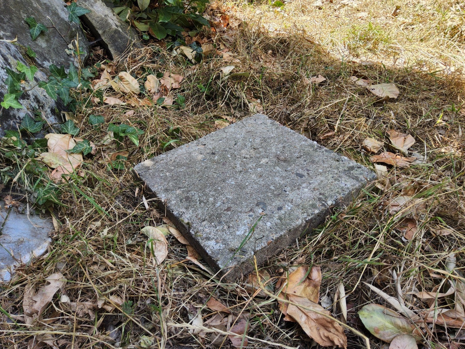 betontegels 30x30 cm, Ophalen