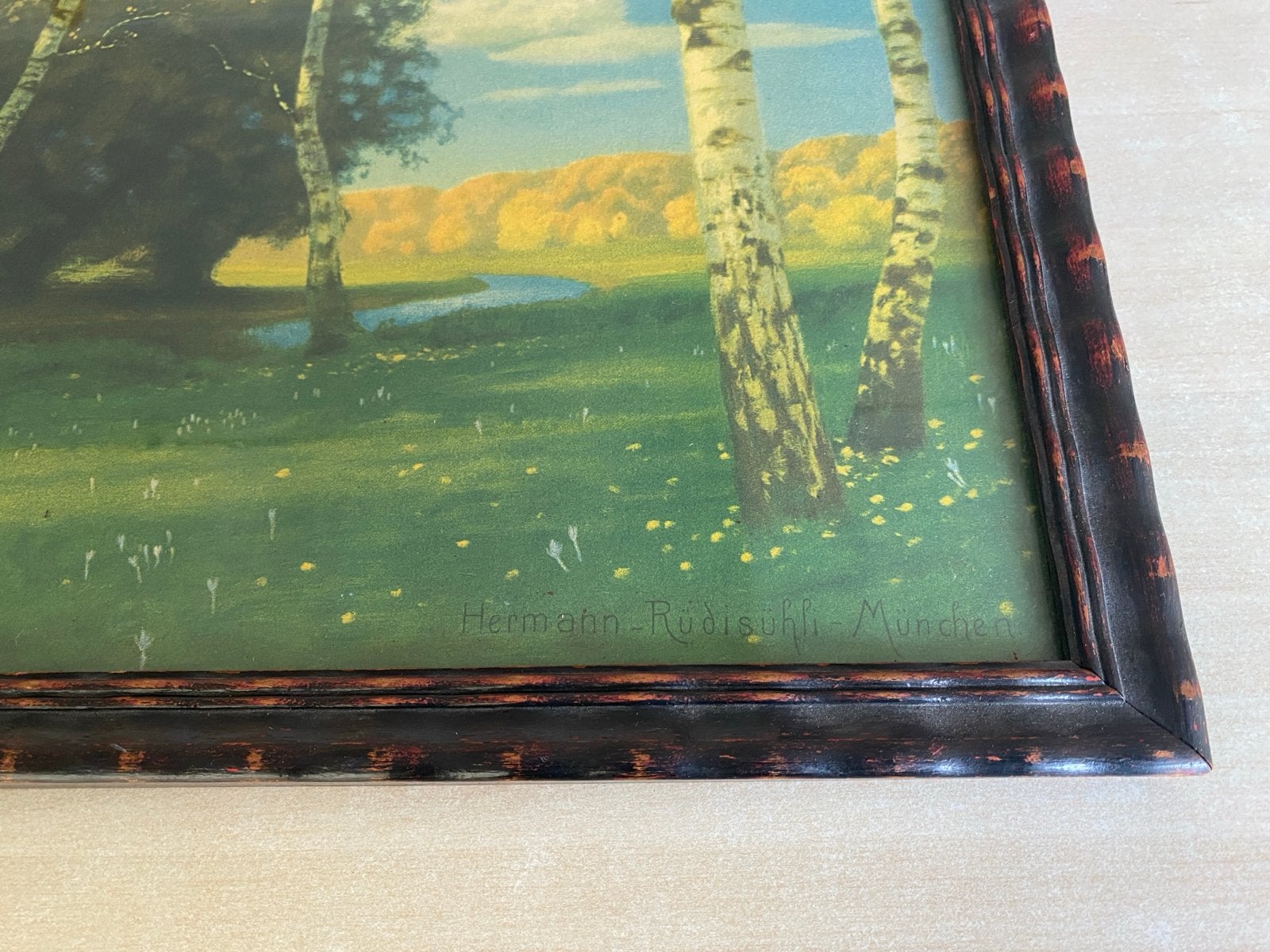 Vintage landschapsprent van Hermann Rüdisühli, Antiek en Kunst, Kunst | Schilderijen | Klassiek, Ophalen of Verzenden, Landschap