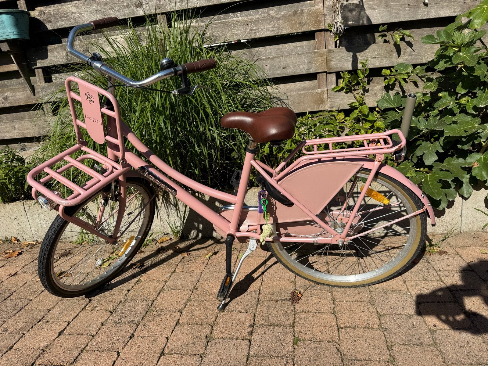 Popal roze kinderfiets 41 cm met voordrager, Fietsen en Brommers, Ophalen, Gebruikt, Terugtraprem, 20 inch of meer