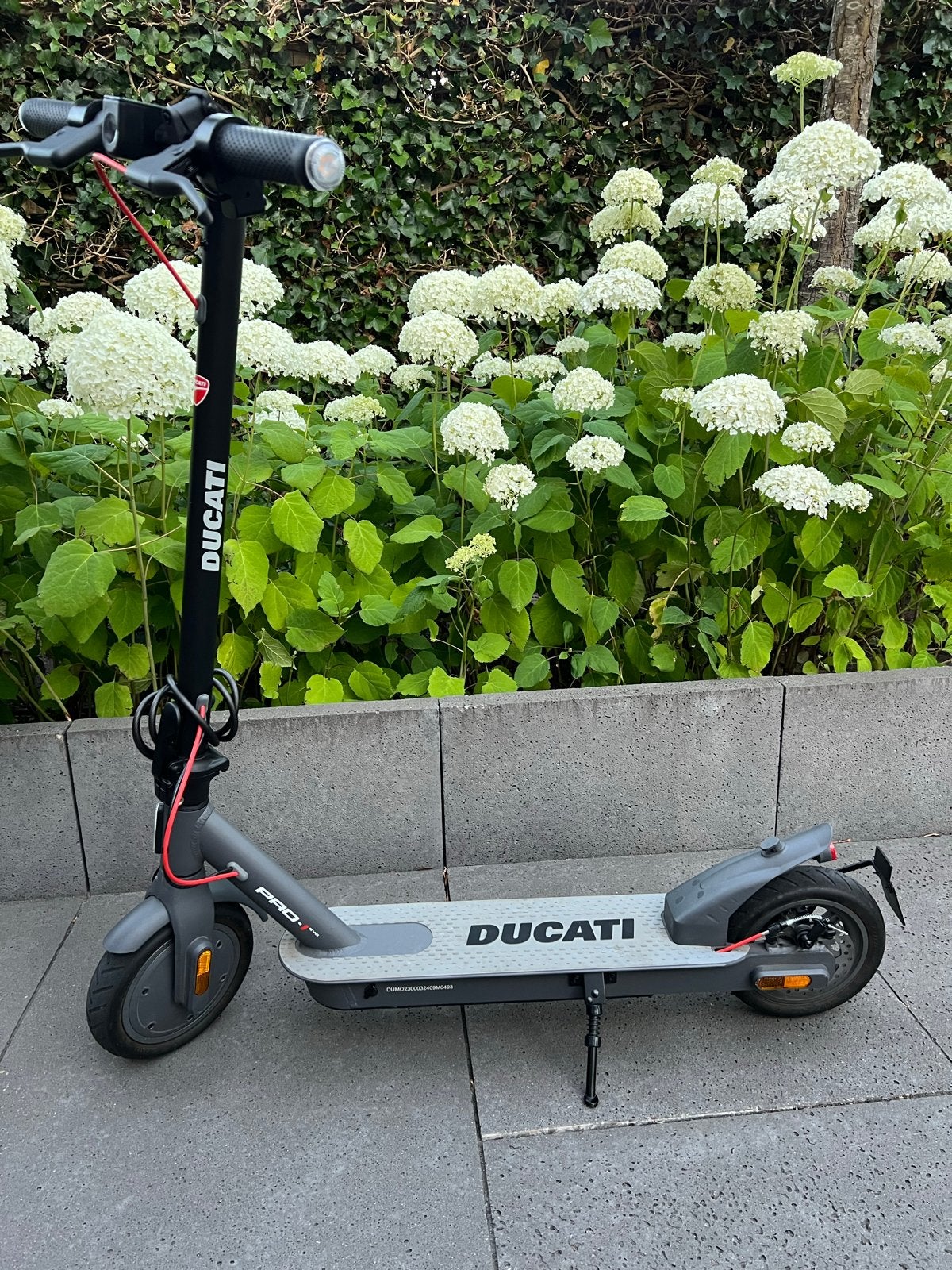 Ducati PRO-I EVO elektrische step - Zo goed als nieuw, Ophalen, Zo goed als nieuw, Elektrische step (E-scooter)