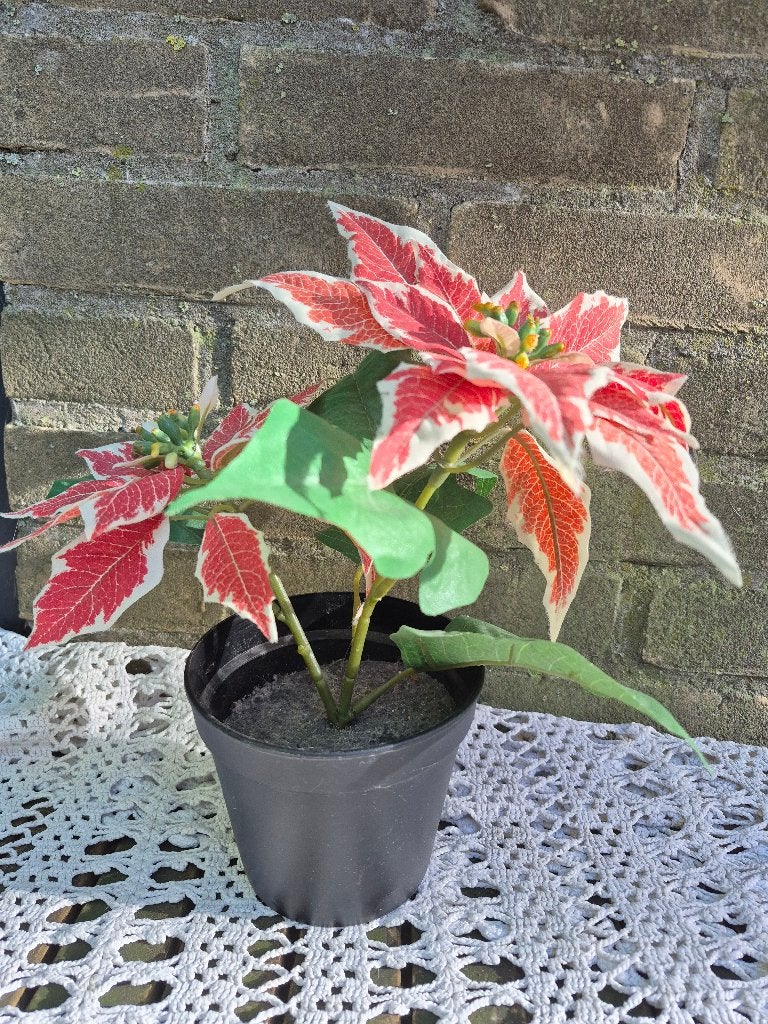 nep/kunst kerstster, Ophalen of Verzenden, Gebruikt