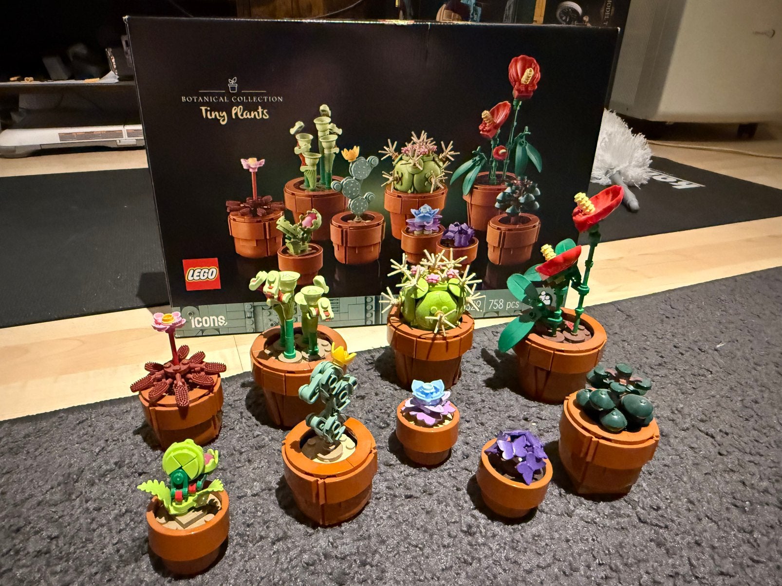 Lego Botanicals Miniplantjes, Overige thema's, Lego, Ophalen of Verzenden, Zo goed als nieuw