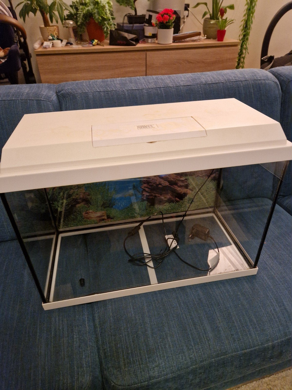 juwel aquarium, Ophalen, Gebruikt, Leeg aquarium, Juwel