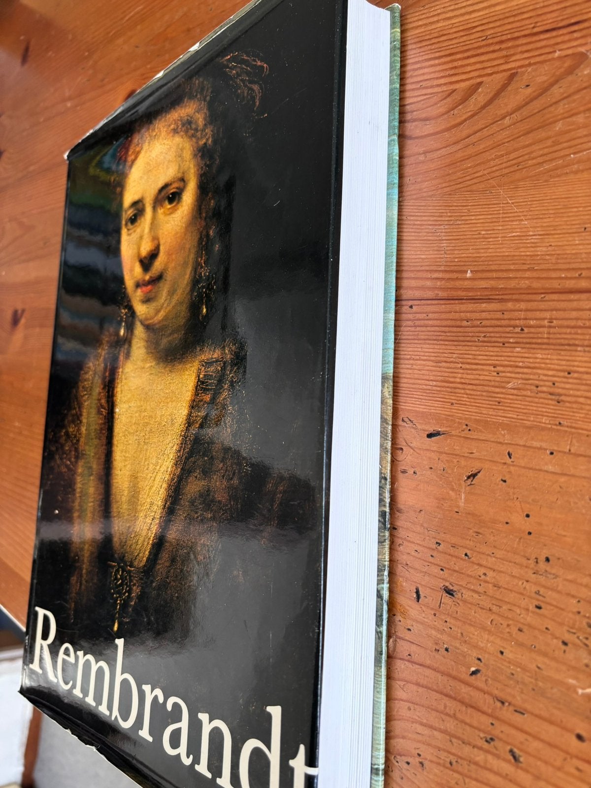 REMBRANDT 710 AFBEELDINGEN SCHILDERIJEN HORST GERSON (foto’s, Ophalen of Verzenden, Zo goed als nieuw