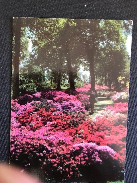 Wisley, Engeland, Ophalen of Verzenden, Voor 1920, Ongelopen, Frankrijk