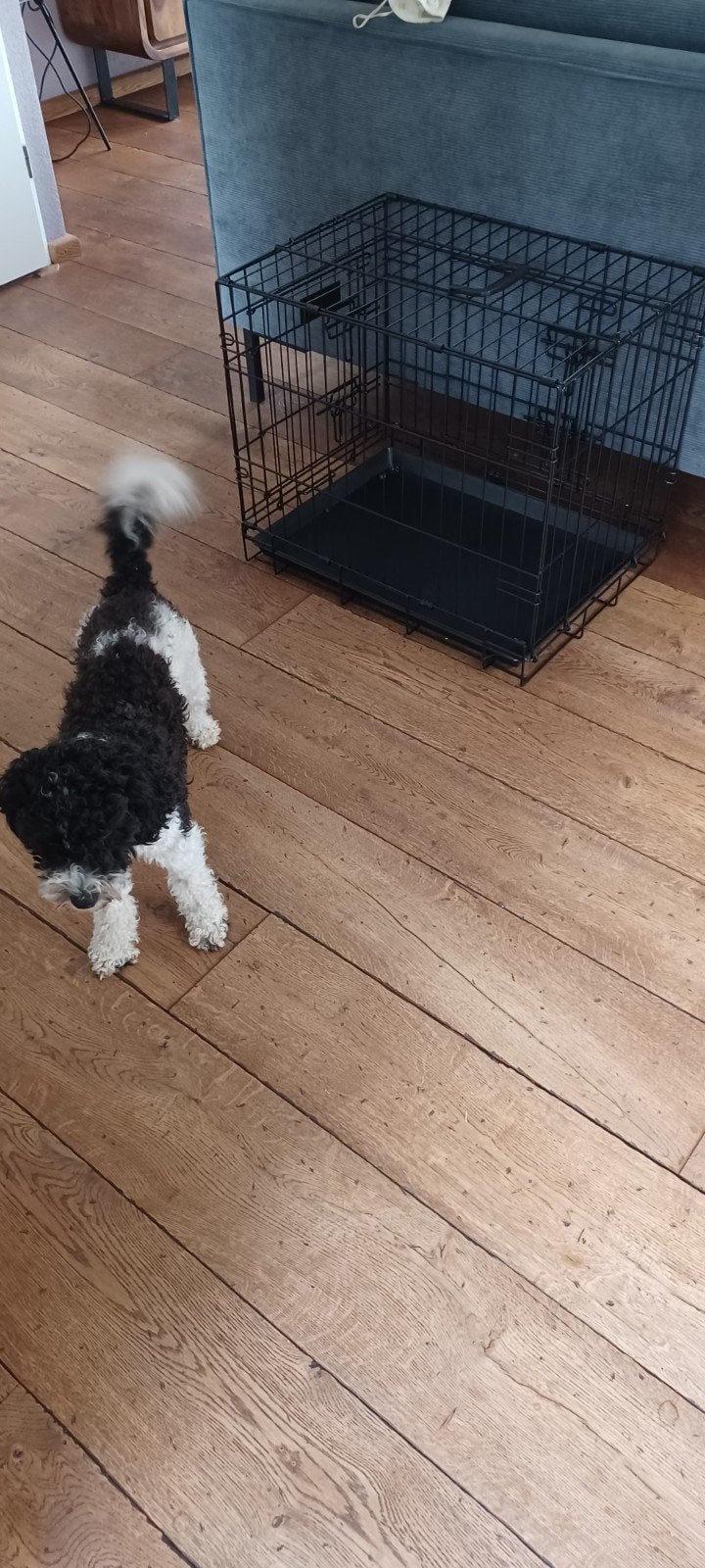 Honden Bench, Dieren en Toebehoren, Hondenbenches, Zo goed als nieuw, Ophalen