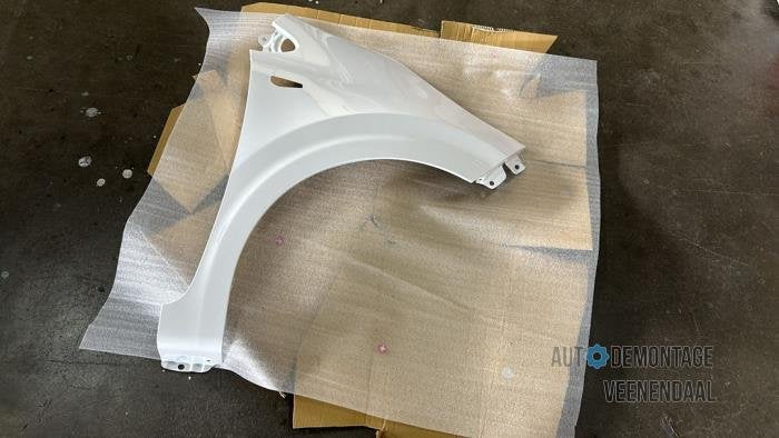 Scherm rechts-voor van een Kia Picanto (UD), Auto-onderdelen, Carrosserie en Plaatwerk, Kia, Nieuw, Ophalen of Verzenden
