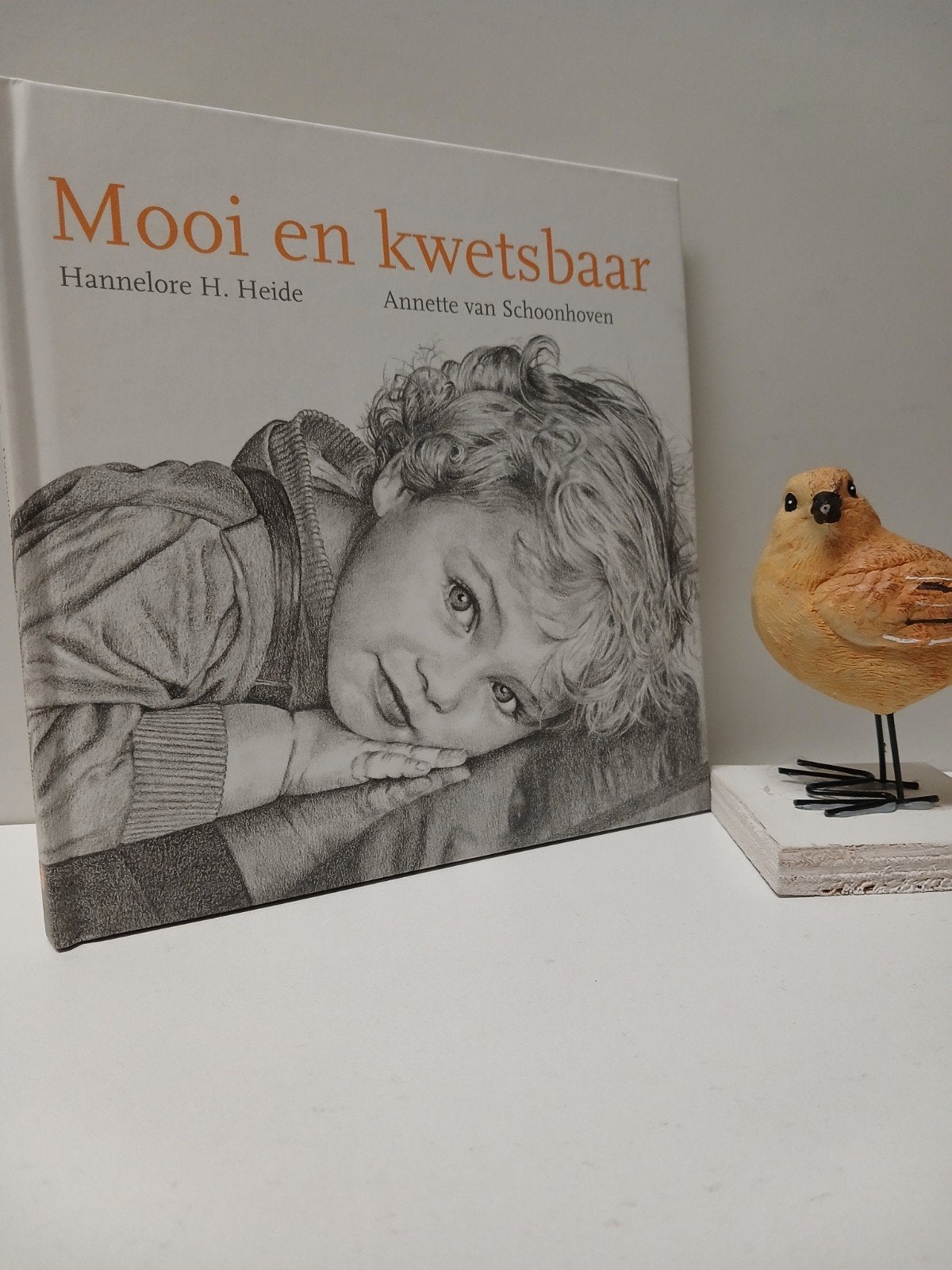 Heide, Hannelore H. e.a. ; Mooi en Kwetsbaar, Ophalen of Verzenden, Zo goed als nieuw, Christendom | Protestants