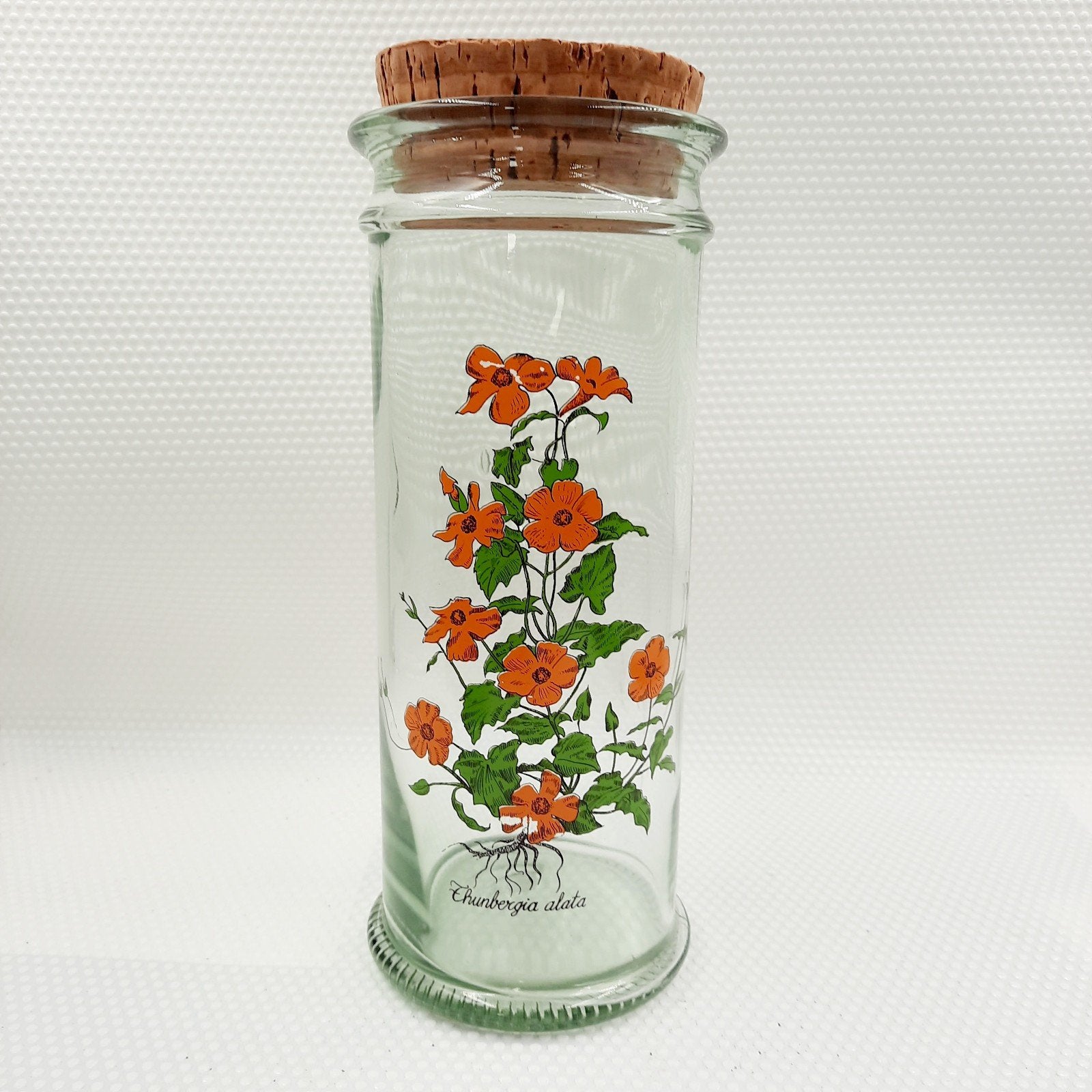 Vintage glazen pot met plantmateriaal en kurk, Ophalen of Verzenden