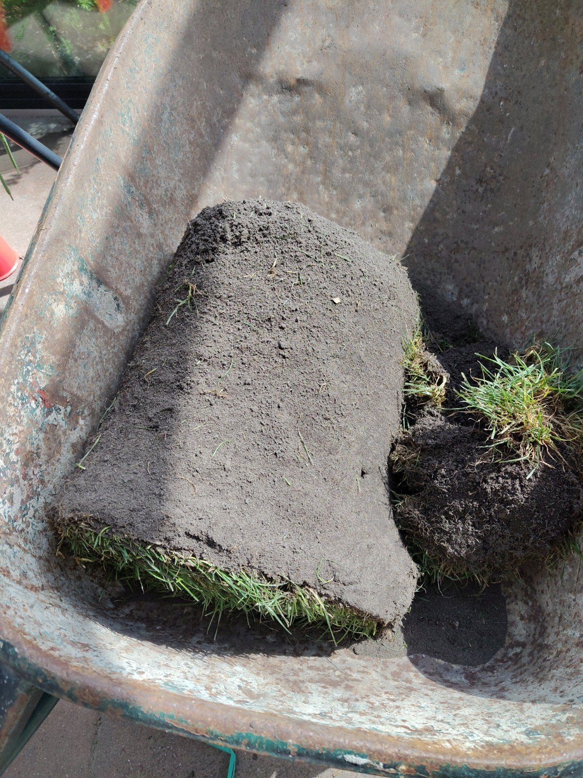 Schaduwgras graszode 1 vierkante meter, Tuin en Terras, Ophalen, Nieuw, Minder dan 10 m², Gras