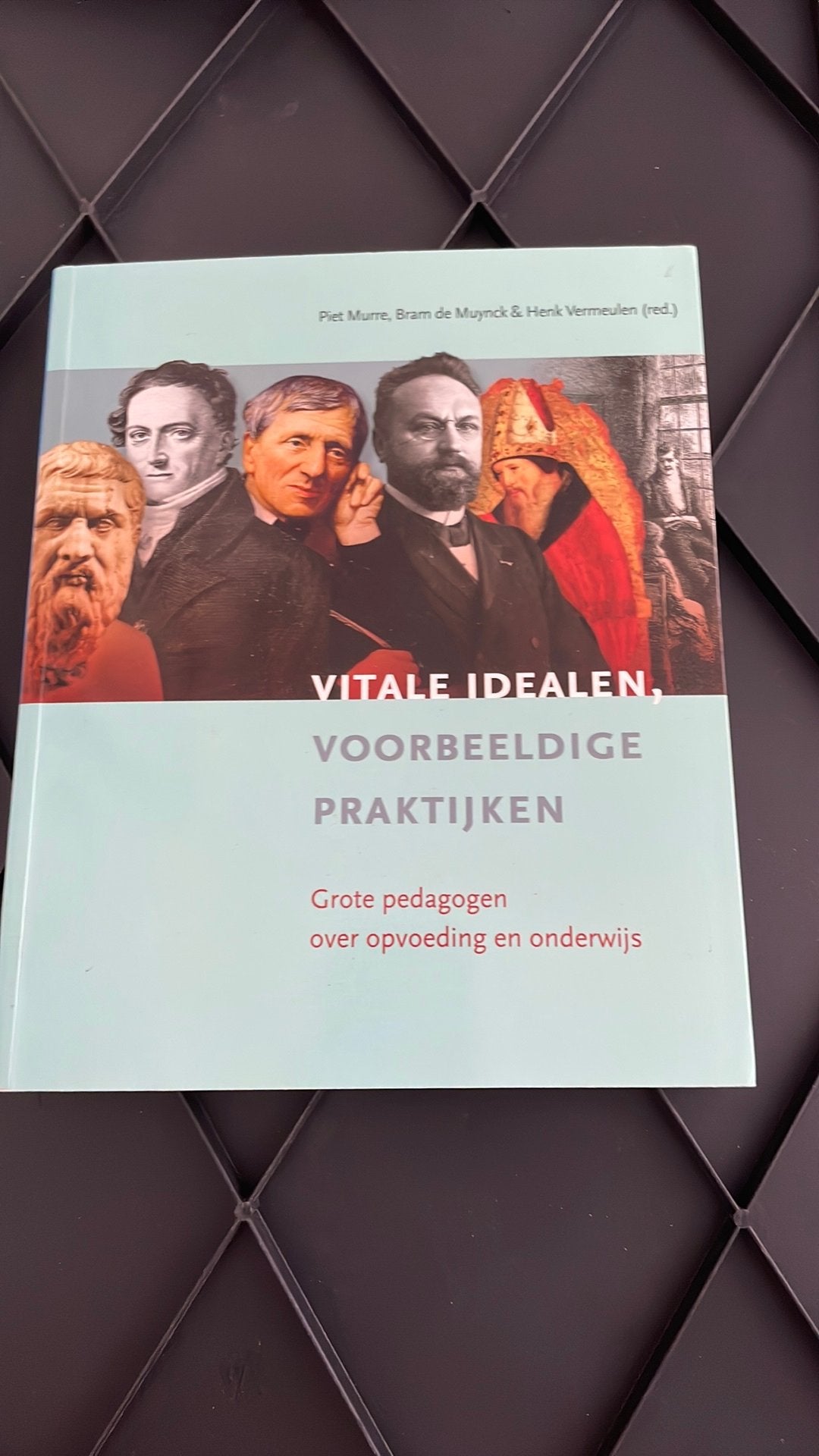 Vitale idealen, voorbeeldige praktijken, Verzenden, Zo goed als nieuw, Sociale wetenschap